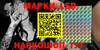 индика Ярославль
