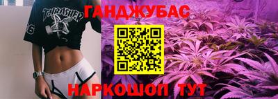 индика Ярославль