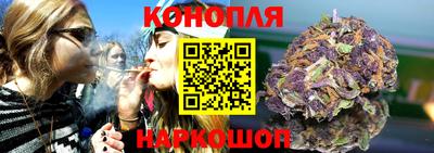 индика Ярославль