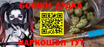 индика Ярославль