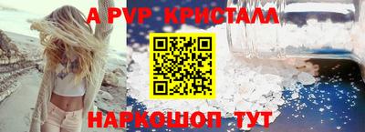 индика Ярославль