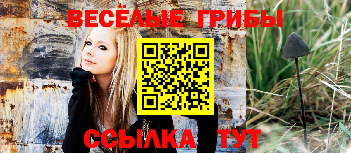 Псилоцибиновые грибы GOLDEN TEACHER Астрахань