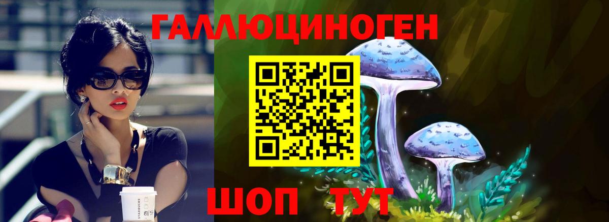 Астрахань  продажа наркотиков  Вход с VPN  Псилоцибиновые грибы Psilocybine cubensis  Псилоцибиновые грибы мухоморы 